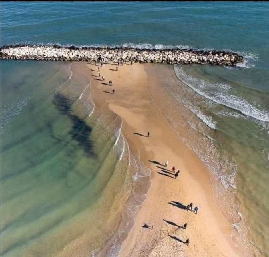Summer Paradise باري المظهر الخارجي الصورة