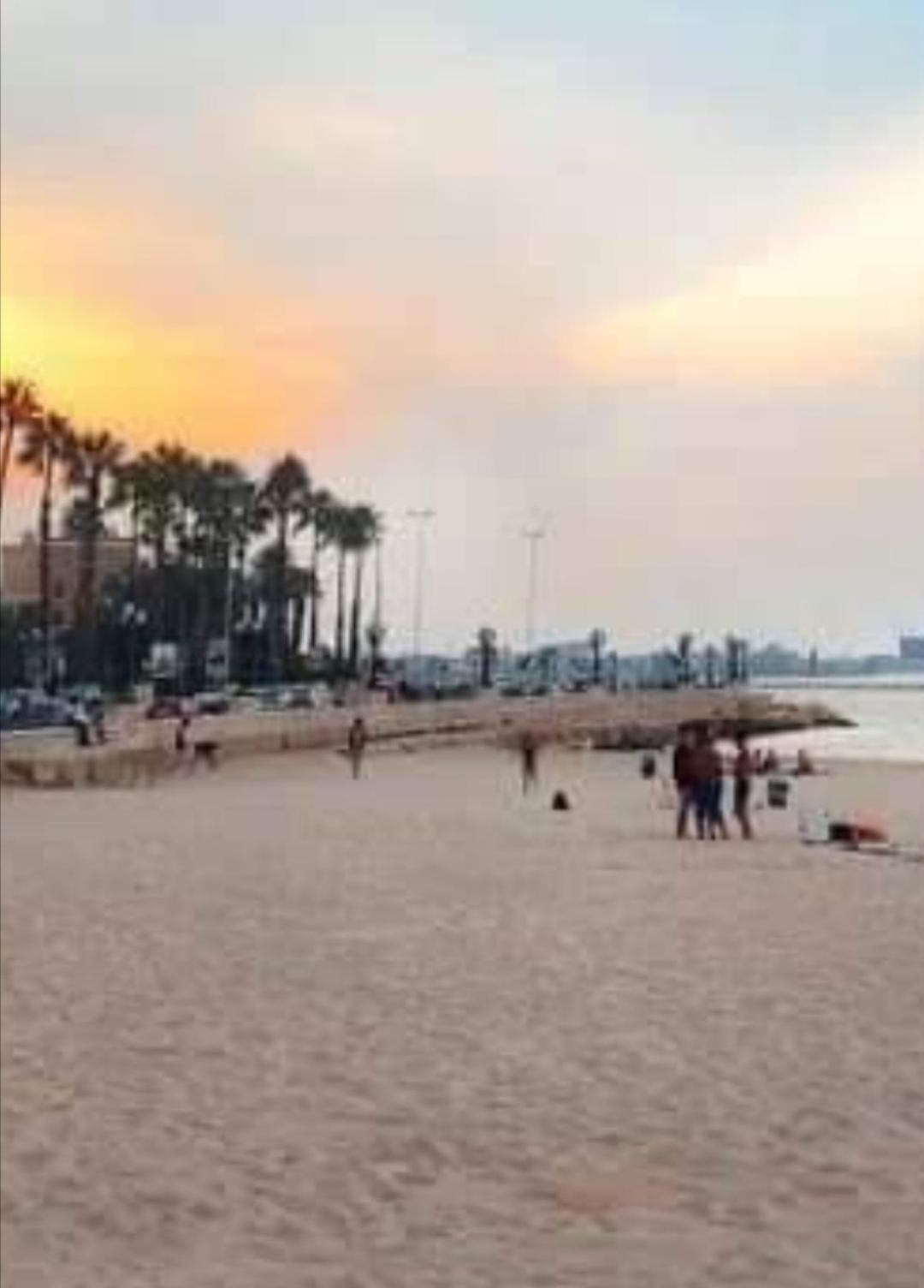 Summer Paradise باري الغرفة الصورة